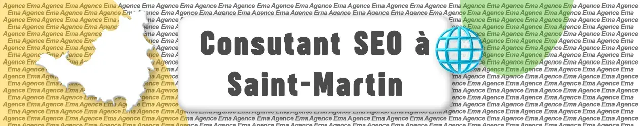 Consultant seo saint-martin