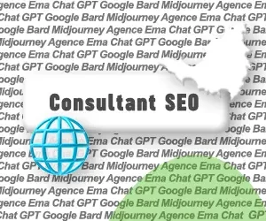 Consultant SEO saint-martin