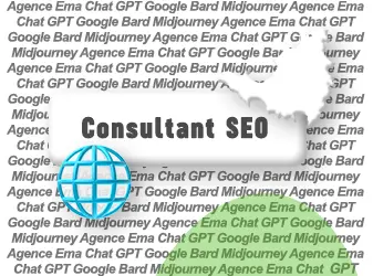 Consultant SEO saint-martin